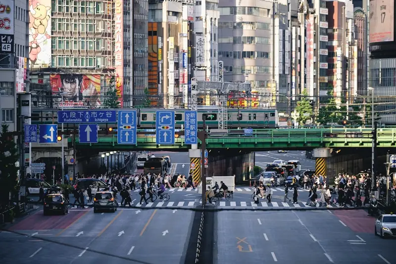 Larry.Tokyo Premium Domain